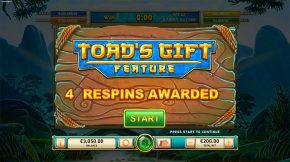 Toads Gift Wild