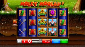 Moley moolah gameplay
