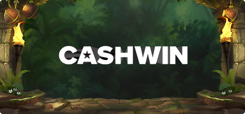 CashWin Casino Fazit