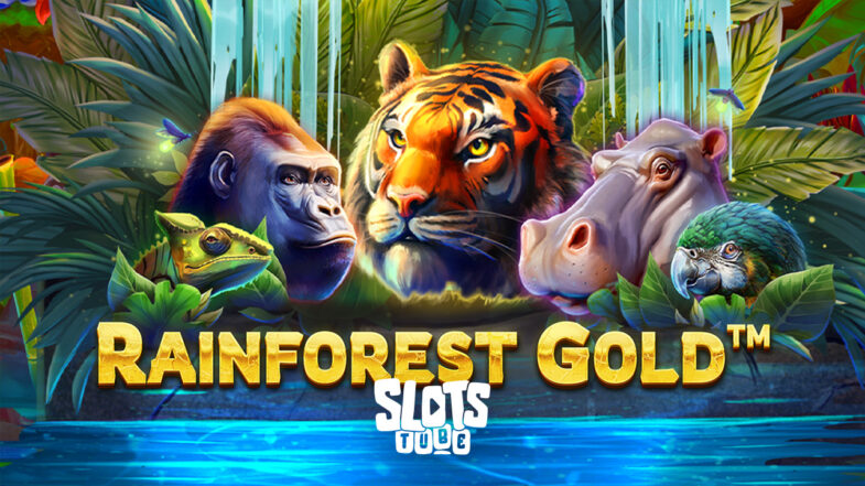 Rainforest Gold Kostenlose Demo