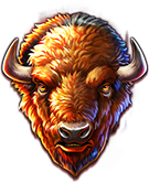 5 Wild Buffalo Büffel Symbol