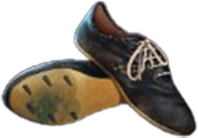 St Louis 1904 Schuhe Symbol