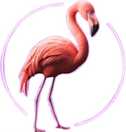 Big Bass Vegas Double Down Deluxe Flamingo Symbol