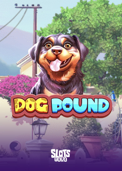 Dog Pound Bewertung von Slots